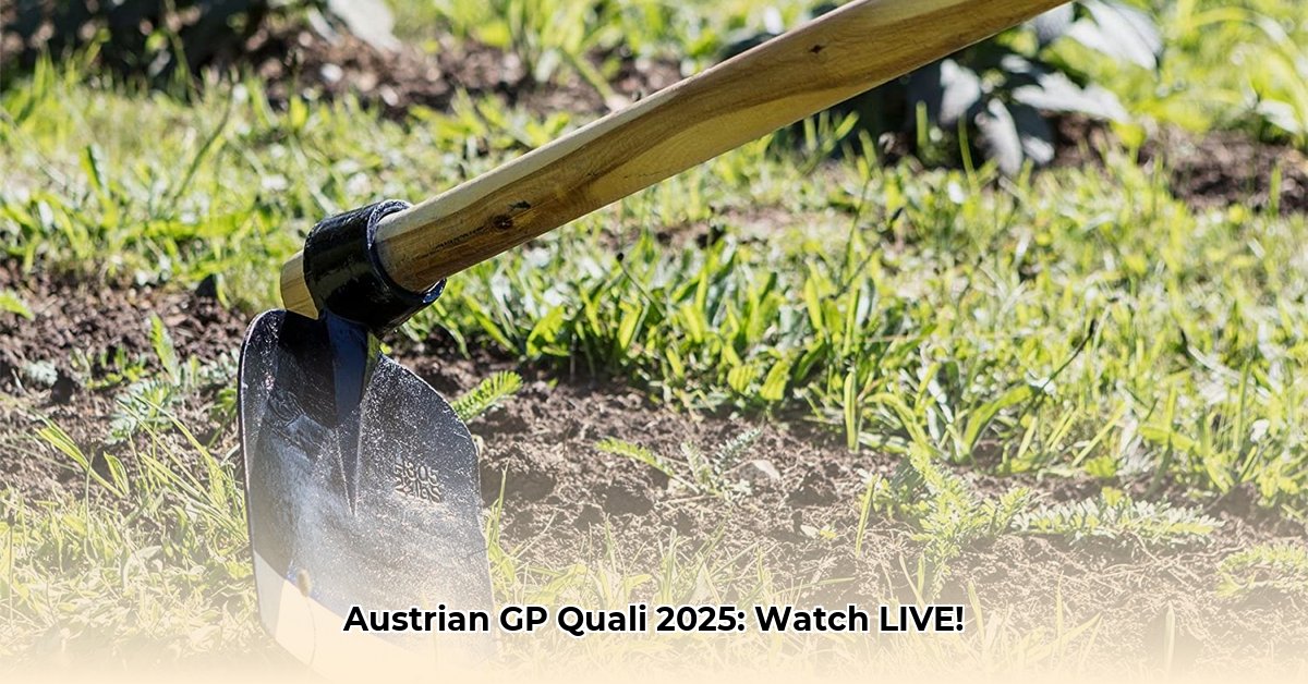 hoe-laat-kwalificatie-oostenrijk